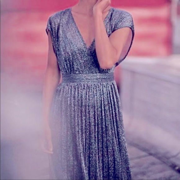 Anthropologie Dresses & Skirts - Moulinette Soeurs Anthropologie Metallic Pleated Midi Dress Raglan Cap Sleeve